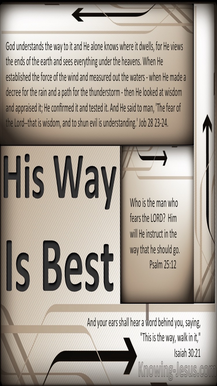 Job 25:21 His Way Is Best (devotional)04:24 (brown)